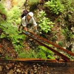 on Mauri e Miki Ferrata Burrone Giovanelli